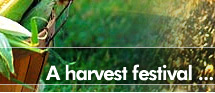 A harvest festival