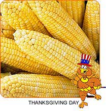 Thanksgiving Corn